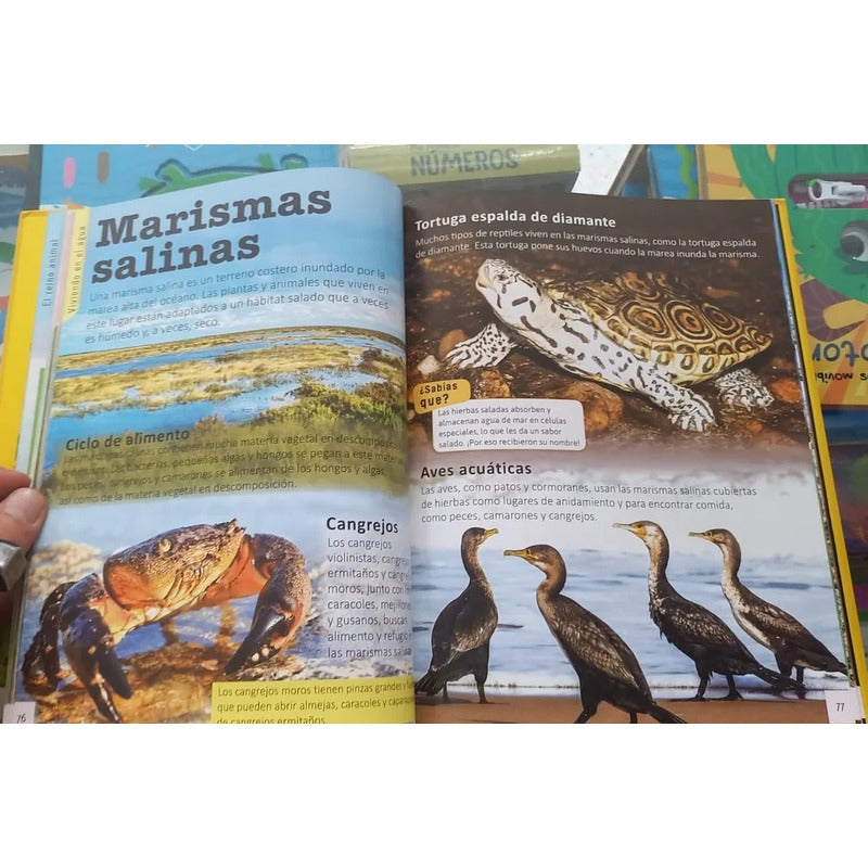 Animales Enciclopedia Infantil (tapa Dura) / Lexus