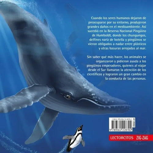 Los Pinguinos Emperadores Llegan Al Norte Chico / Yagnam