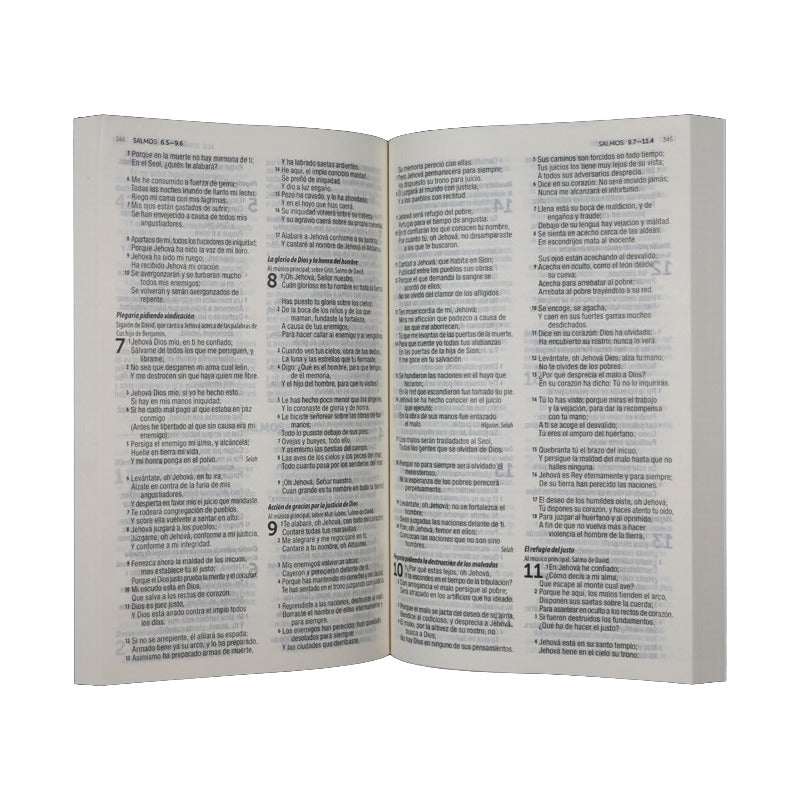 Santa Biblia Reina Valera Contemporanea Misionera Economica