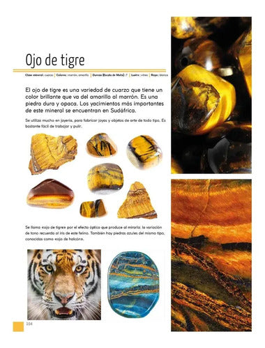 Enciclopedia Junior De Rocas Y Minerales / Lexus