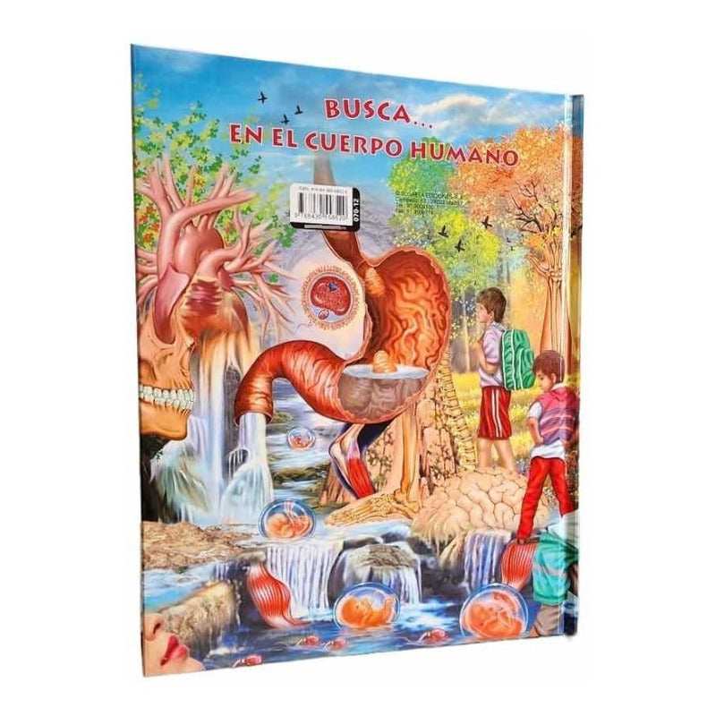 Busca En El Cuerpo Humano (td) / Susaeta