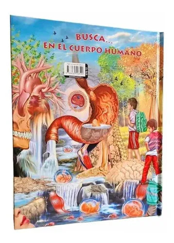 Busca En El Cuerpo Humano (td) / Susaeta