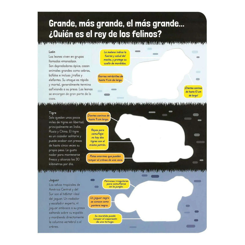 Asombrosos Mega Animales (tapa Dura) / Lexus