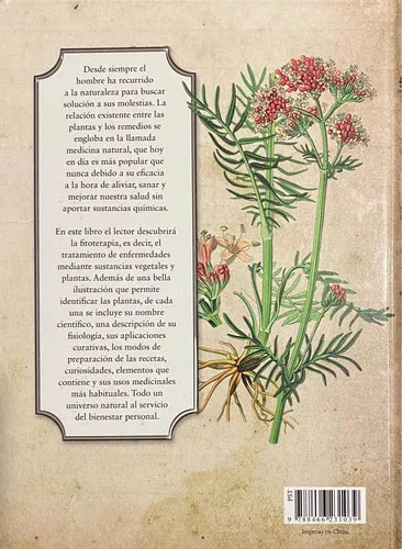 Plantas Que Curan (tapa Dura) / Luis Tomas Melgar