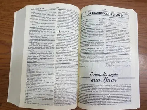 Biblia Rvr1960 Contemporánea Letra Gigante Azul