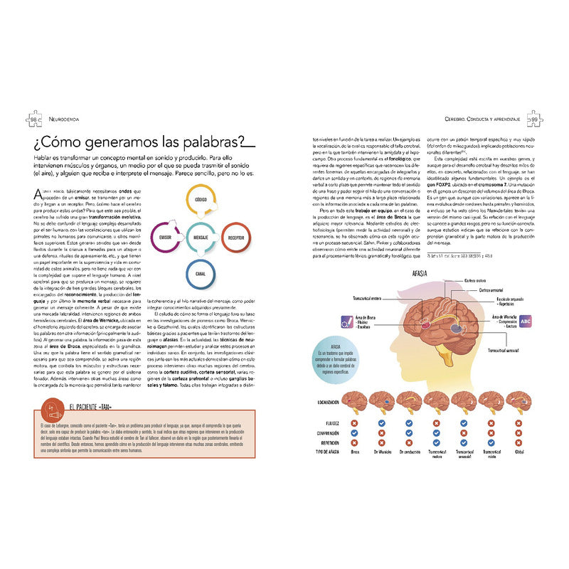 Cerebro Conducta Y Aprendizaje Neurociencia / Lexus