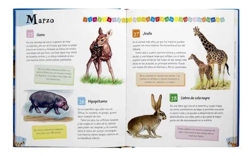 Lee Cada Día 365 Curiosidades De Animales / Lexus