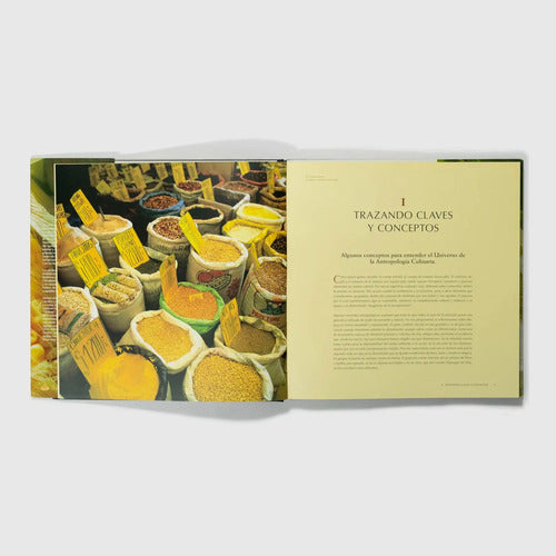 La Olla Deleitosa / Sonia Montecino