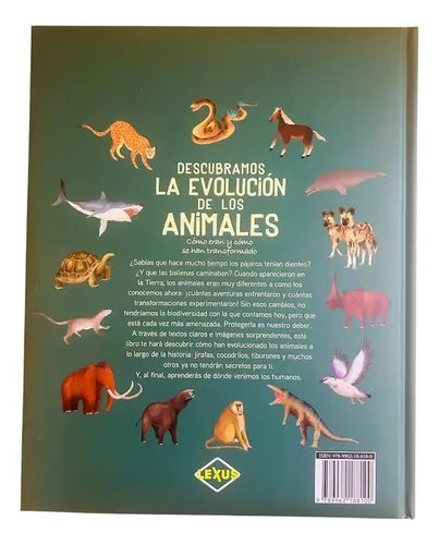 Descubramos La Evolución De Los Animales (tapa Dura) / Lexus