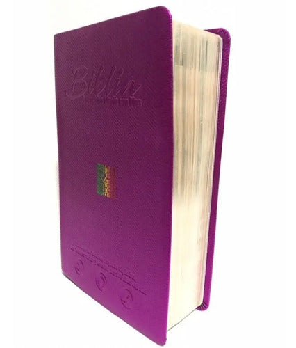 Biblia Encuentro Diario Con Dios Rvc Morado / Sbl