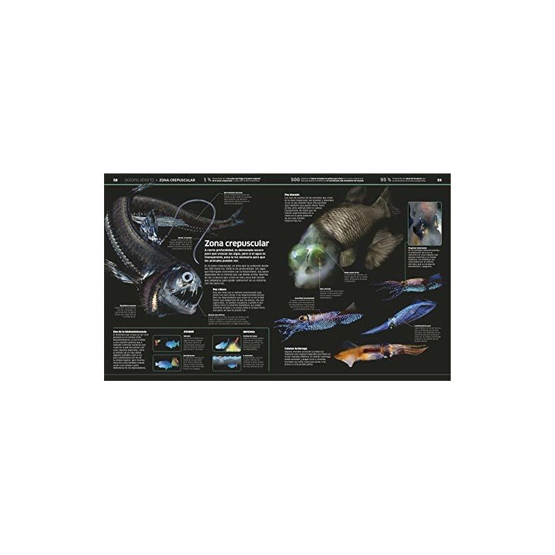 Dk Oceanos El Planeta Bajo El Agua (tapa Dura)