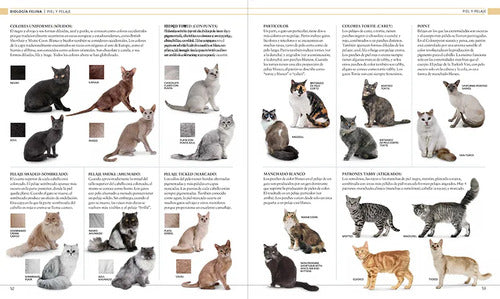 Dk Gato La Enciclopedia Guía Visual Definitiva (tapa Dura)