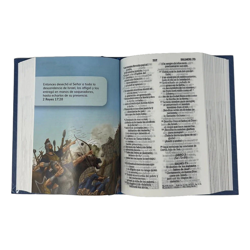 Santa Biblia Reina Valera (tapa Dura Ilustrada)