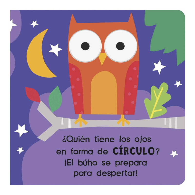 Mira Y Descubre Formas / Lexus