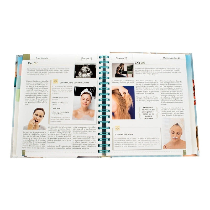 El Embarazo Día A Día (tapa Dura) / Lexus