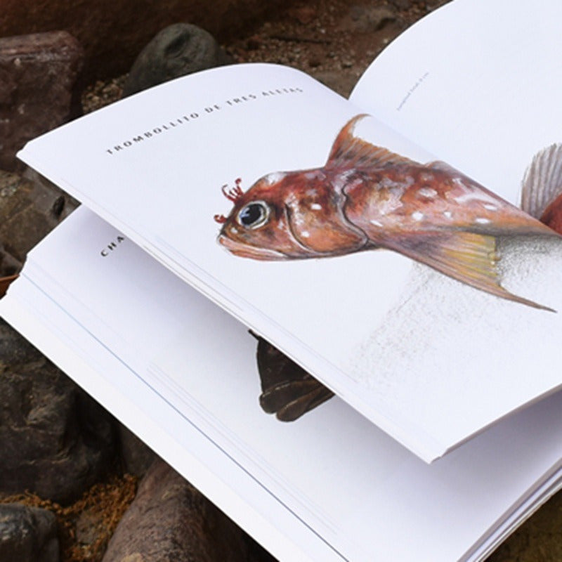 De La Mar / Alfredo Cea Egaña Y Alejandro Pérez Matus