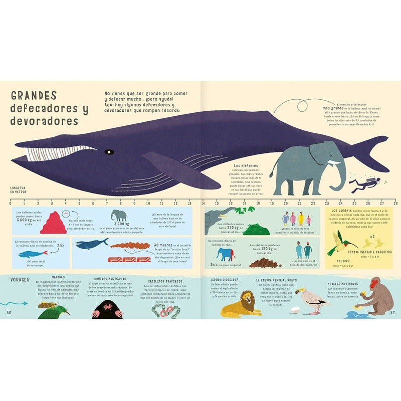 El Libro De Las Comparaciones (tapa Dura) / Clive Gifford