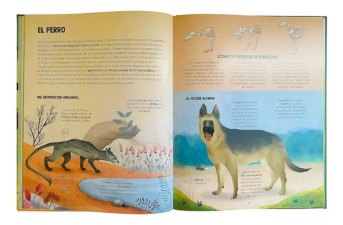 Descubramos La Evolución De Los Animales (tapa Dura) / Lexus