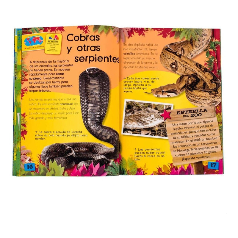 Un Día En El Zoológico + Práctico Estuche / Lexus