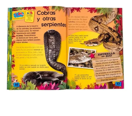 Un Día En El Zoológico + Práctico Estuche / Lexus