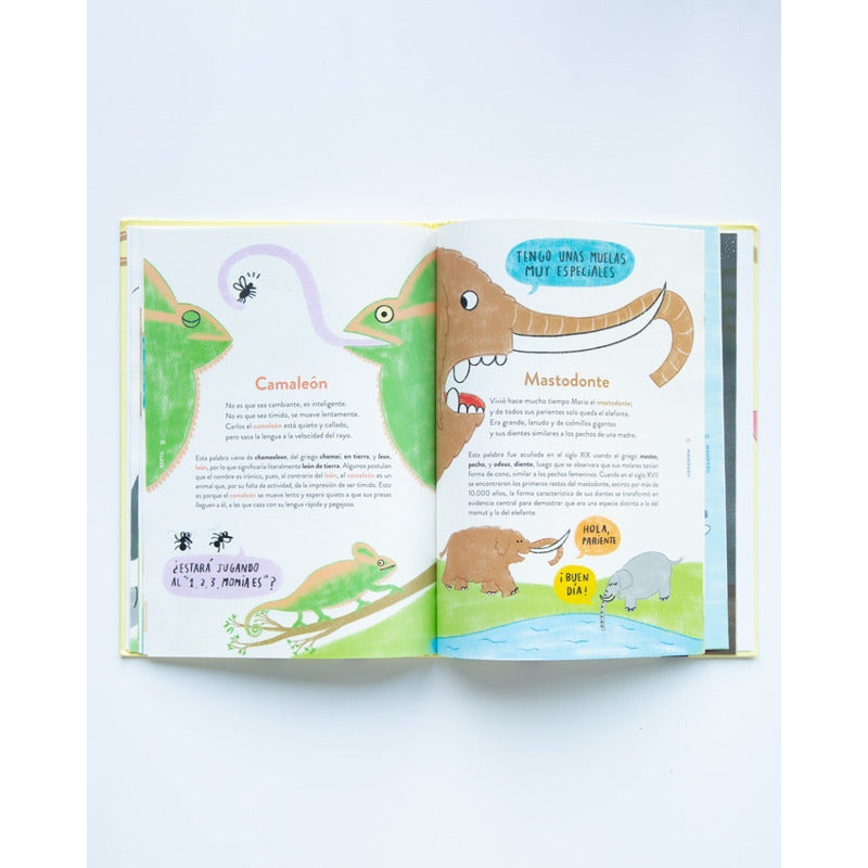 Animalario Etimologico  / Trinidad Y Valentina Silva