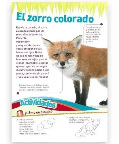 Gigante Ilustrado Animales + Cd / Lexus