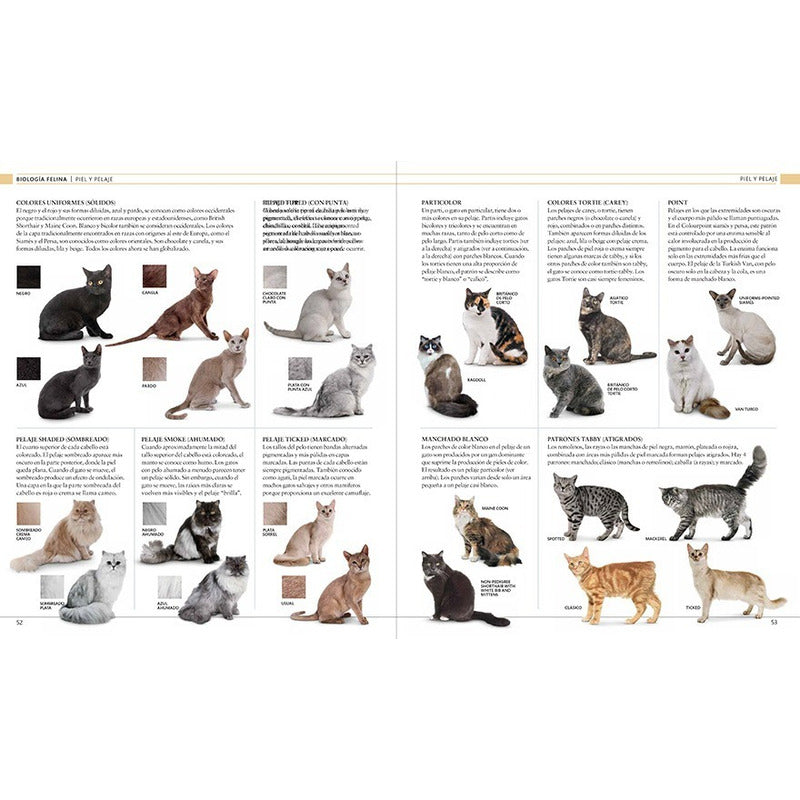 Dk Gato La Enciclopedia Guía Visual Definitiva (tapa Dura)