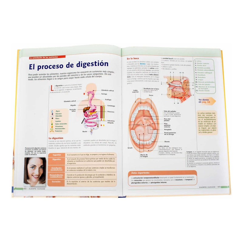 El Cuerpo Humano Fisiologia Y Anatomia / Lexus