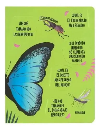 Insectos Busca Y Encuentra Linterna (tapa Dura) / Lexus