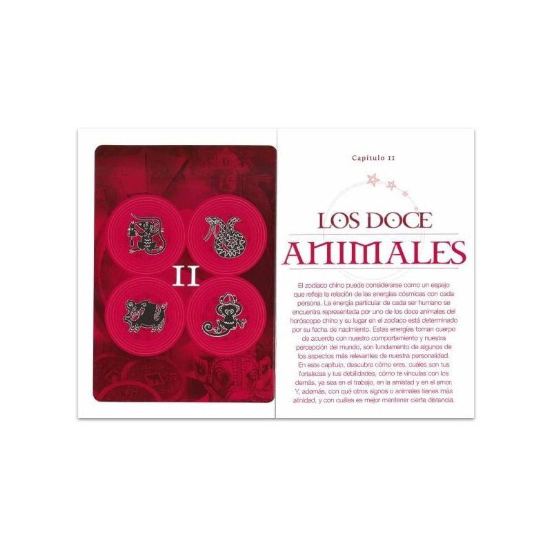 ¿cómo Eres Según La Astrología China? Horóscopo / Lexus