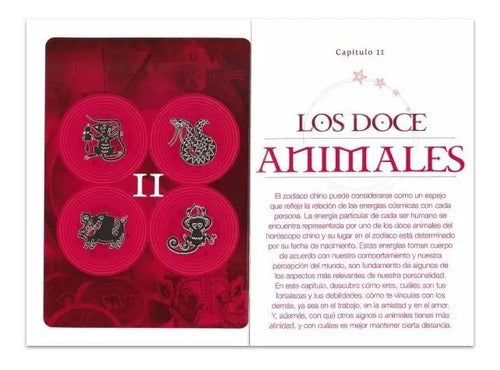 ¿cómo Eres Según La Astrología China? Horóscopo / Lexus