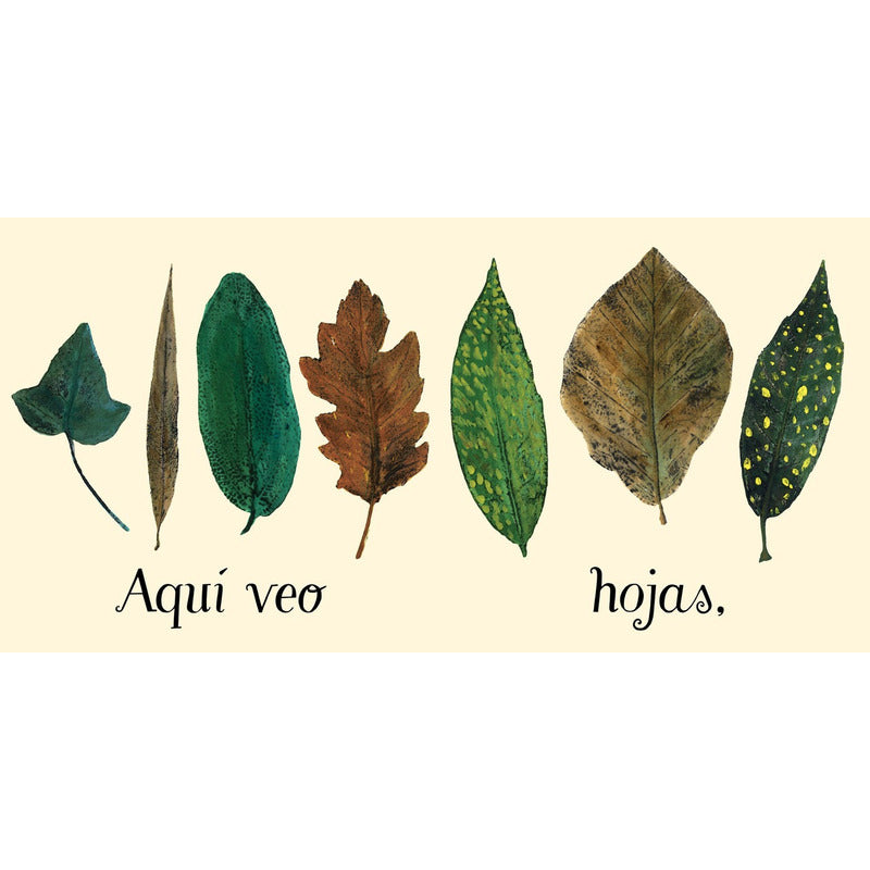 Aquí Veo (tapa Dura) / Ekare