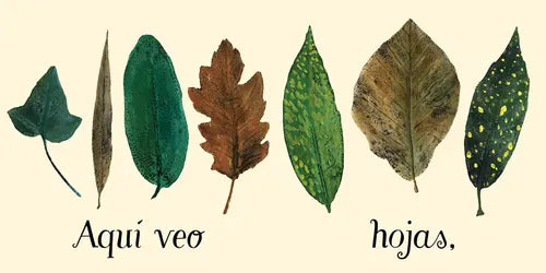 Aquí Veo (tapa Dura) / Ekare