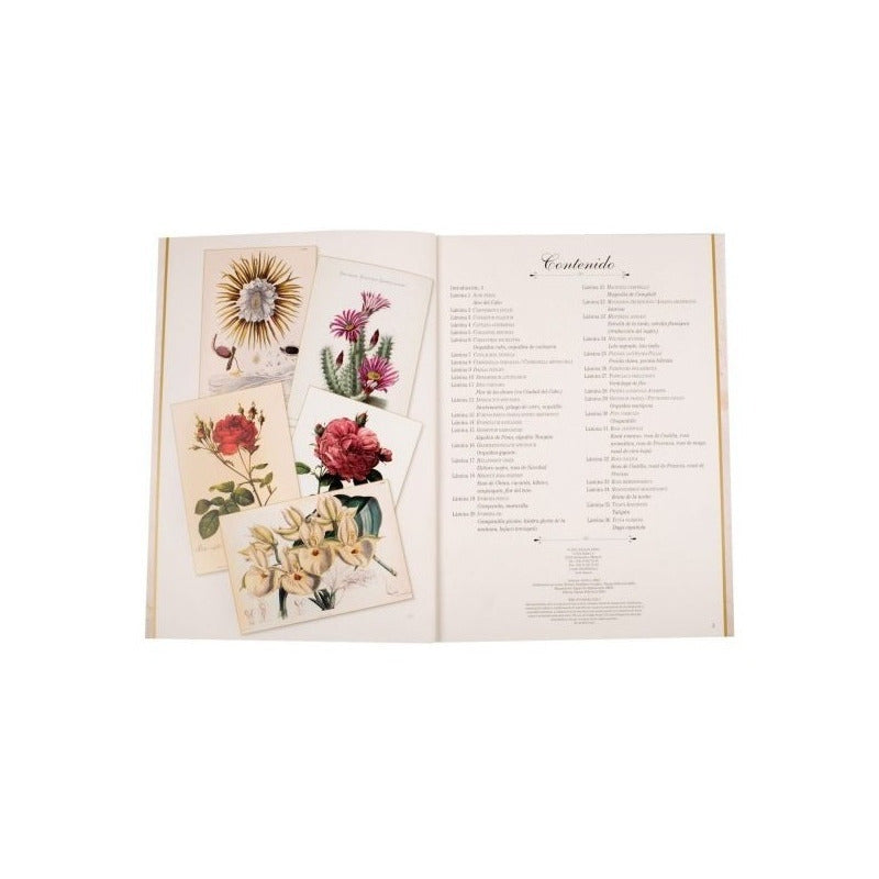 Maravillas De La Botanica / Lexus