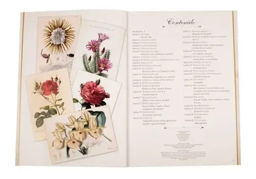Maravillas De La Botanica / Lexus