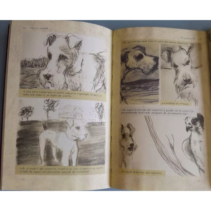 El Almohadon De Plumas & La Insolacion (gráfica) / Quiroga