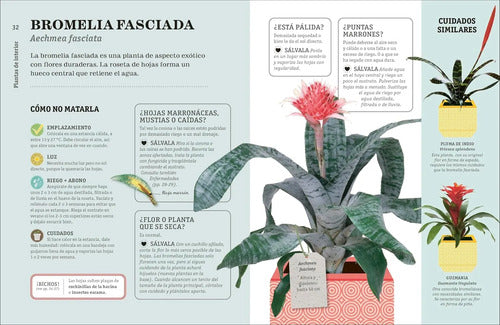 Como No Matar Tus Plantas (tapa Dura) / Dk