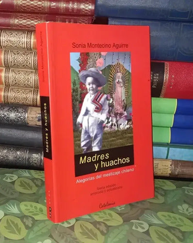 Madres Y Huachos / Sonia Montecino
