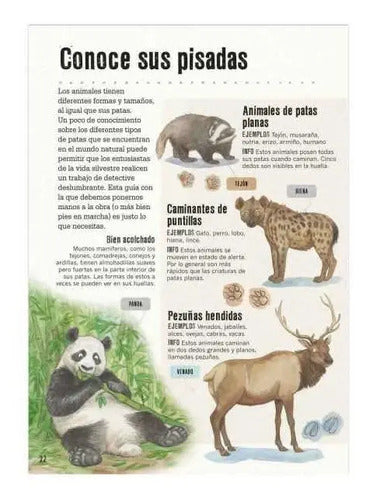 La Pista Está En La Caca Y En Otras Cosas También / Lexus