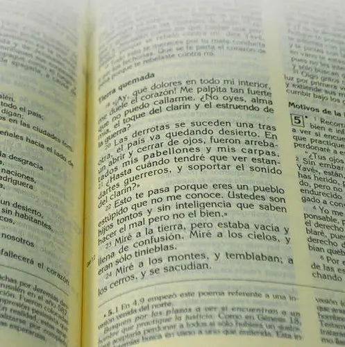 Biblia Latinoamericana Letra Normal (rustica) / Verbo Divino