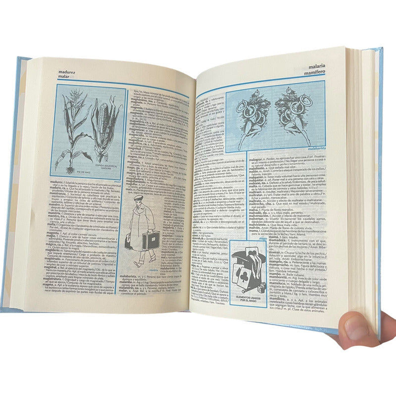 Diccionario Escolar De La Lengua Española / Lexus