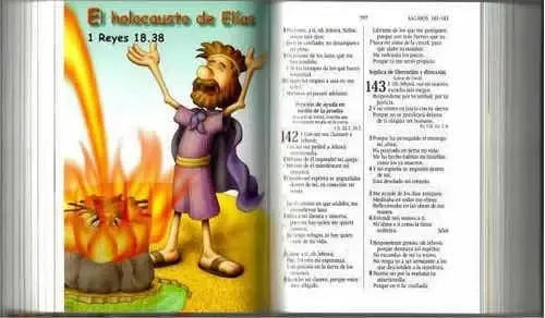 Santa Biblia Amigos Por Siempre Rvr1960 Rosado Td