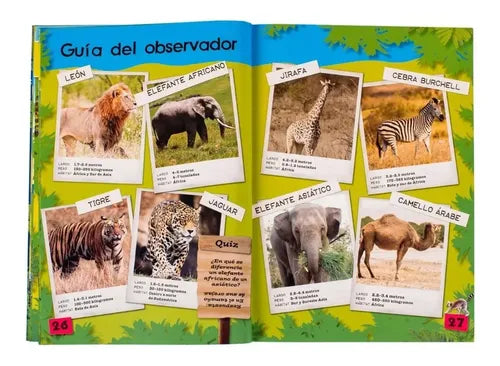 Un Día En El Zoológico + Práctico Estuche / Lexus