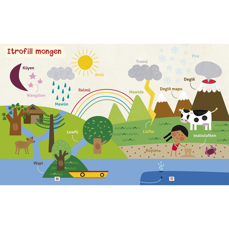 Mi Primer Diccionario De Mapudungun Tañi Wüne Chillkatupeyüm