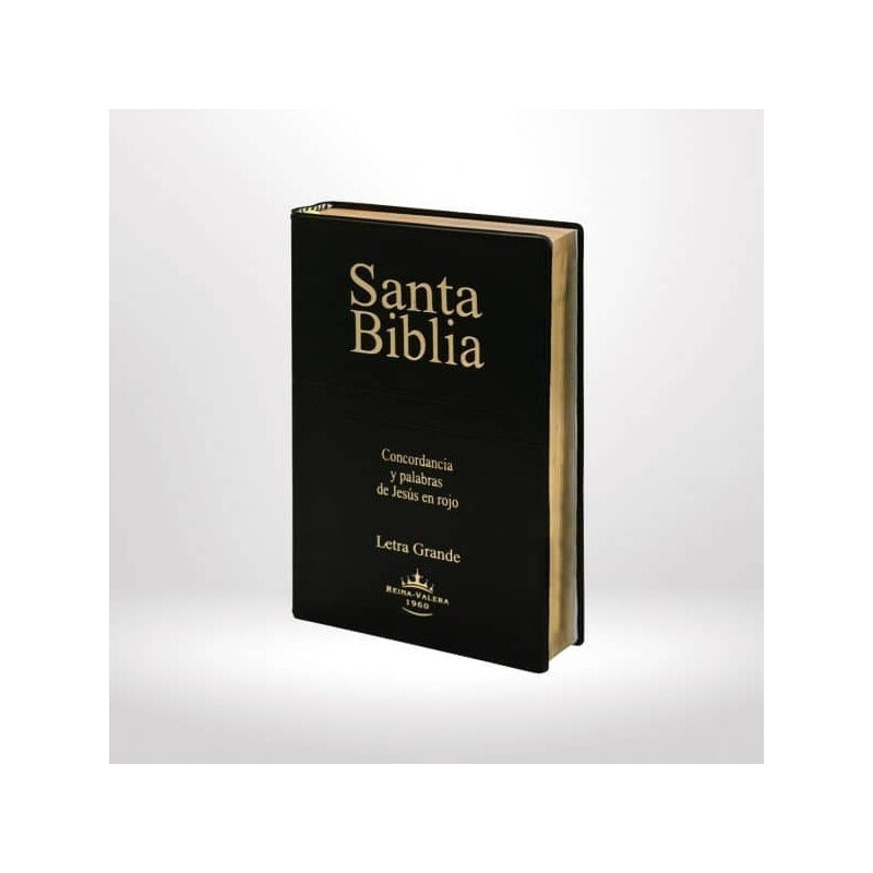 Santa Biblia Rvr 1960 Letra Grande Concordancia Palabra Rojo