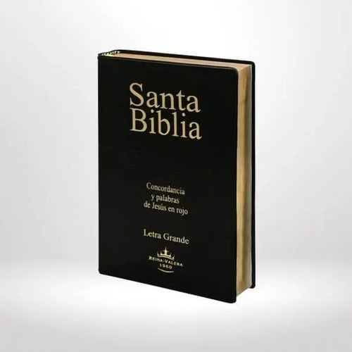 Santa Biblia Rvr 1960 Letra Grande Concordancia Palabra Rojo