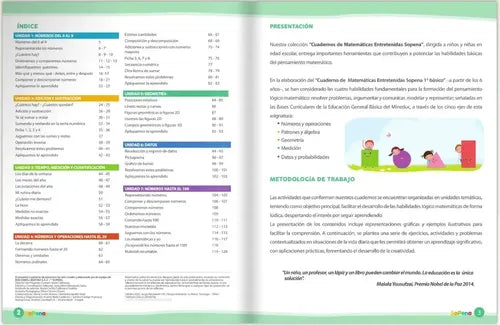 Matematicas Entretenidas 1° Básico (desde 6 Años) / Sopena