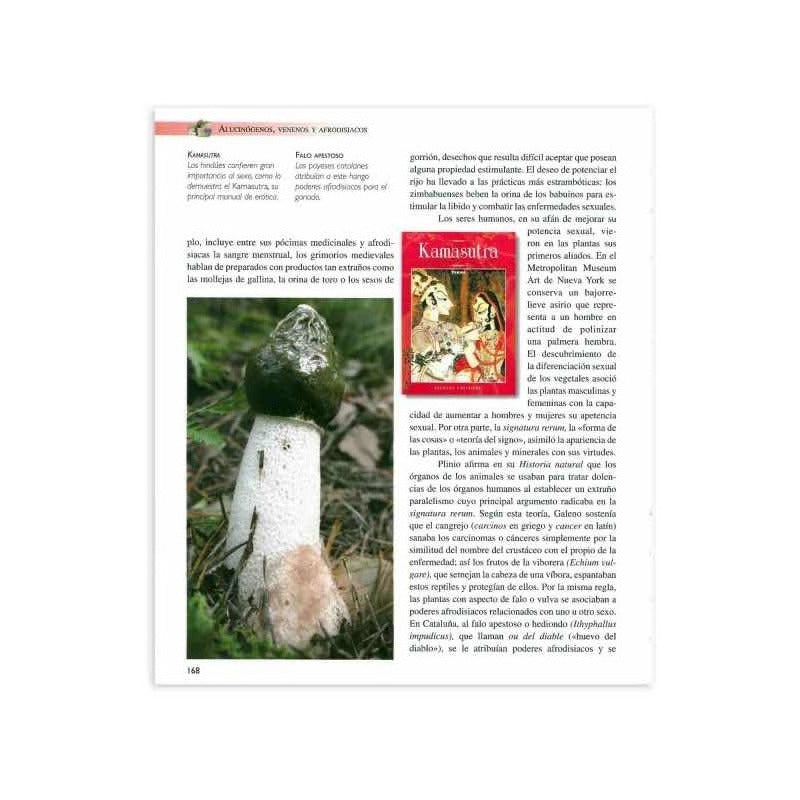 Atlas Ilustrado Alucinógenos Venenos Y Afrodisiacos / Lexus