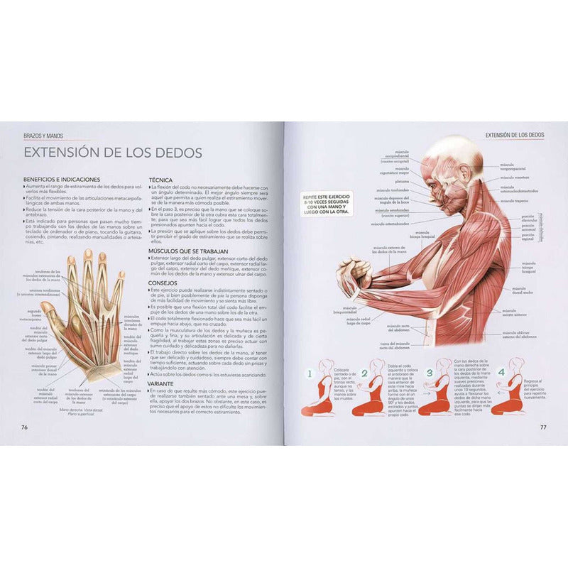 Atlas Ilustrado Estiramientos Y Flexiones / Susaeta