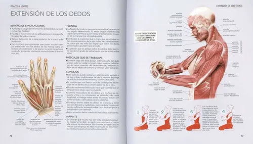 Atlas Ilustrado Estiramientos Y Flexiones (t.dura) / Susaeta